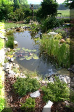 Fisette 6 - un micro bassin de 3m�  20 