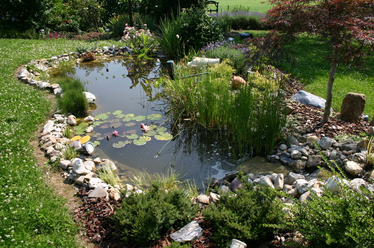 Fisette 6 - un micro bassin de 3m�  2 