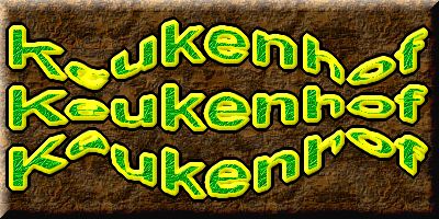 Keukenhof un festival de tulipe page 11  1 