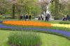 Keukenhof un festival de tulipe page 10  44 