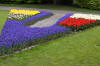 Keukenhof un festival de tulipe page 6  14 