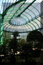 Les serres Royal de Belgique - Les Cam�lias  18 