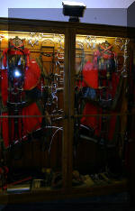 Les serres Royal de Belgique - Les �curies  8 