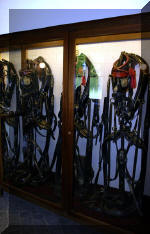 Les serres Royal de Belgique - Les �curies  7 