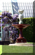 Les serres Royal de Belgique - Vues ext�rieur  19 