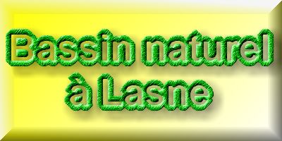 Bassin de jardin naturel � Lasne - d�tails 2  1 