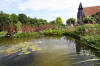 Bassin de jardin naturel � Lasne - Vue g�n�rale  9 