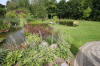 Bassin de jardin naturel � Lasne - Vue g�n�rale  17 