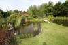 Bassin de jardin naturel � Lasne - Vue g�n�rale  22 