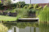 Bassin de jardin naturel � Lasne - d�tails 1  40 
