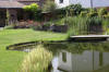 Bassin de jardin naturel � Lasne - d�tails 1  39 