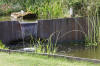 Bassin de jardin naturel � Lasne - d�tails 1  28 