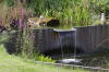 Bassin de jardin naturel � Lasne - d�tails 1  13 
