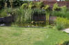 Bassin de jardin naturel � Lasne - d�tails 1  10 
