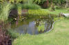 Bassin de jardin naturel � Lasne - d�tails 1  18 