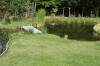 Bassin de jardin naturel � Lasne - d�tails 1  17 