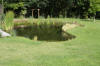 Bassin de jardin naturel � Lasne - d�tails 1  16 
