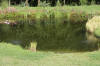 Bassin de jardin naturel � Lasne - d�tails 1  14 