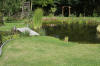 Bassin de jardin naturel � Lasne - d�tails 1  6 