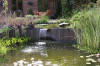 Bassin de jardin naturel � Lasne - d�tails 2  26 