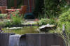 Bassin de jardin naturel � Lasne - d�tails 2  23 