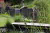 Bassin de jardin naturel � Lasne - d�tails 2  5 