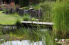 Bassin de jardin naturel � Lasne - d�tails 2  3 