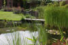 Bassin de jardin naturel � Lasne - d�tails 2  2 