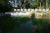 Piscine transform�e en piscine biologique en images  28 