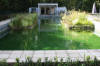 Piscine transform�e en piscine biologique en images  17 